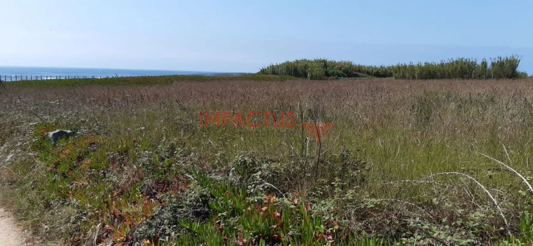 Terreno para Venda em Aver-O-Mar, Amorim e Terroso Foto 4