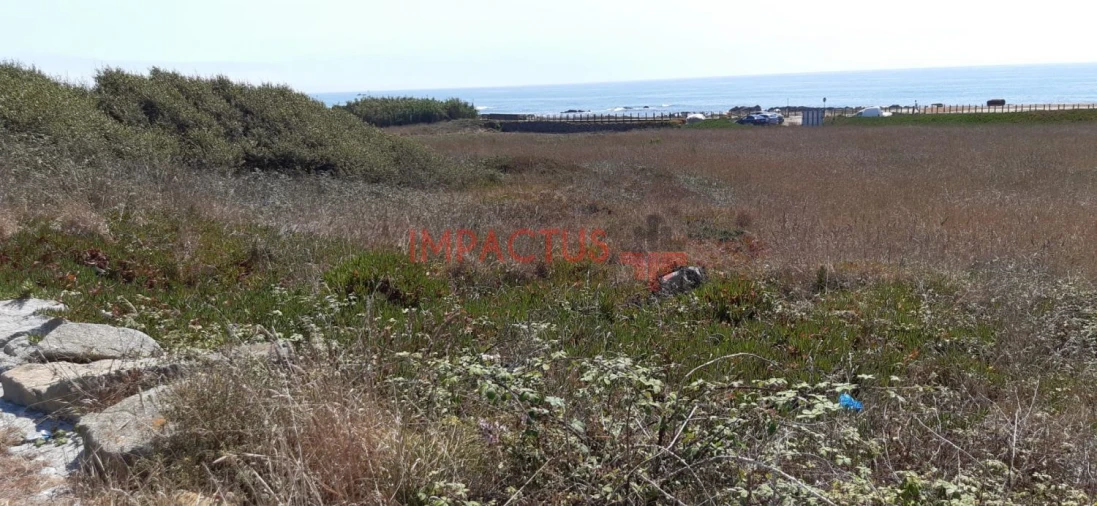 Terreno para Venda em Aver-O-Mar, Amorim e Terroso Foto 5