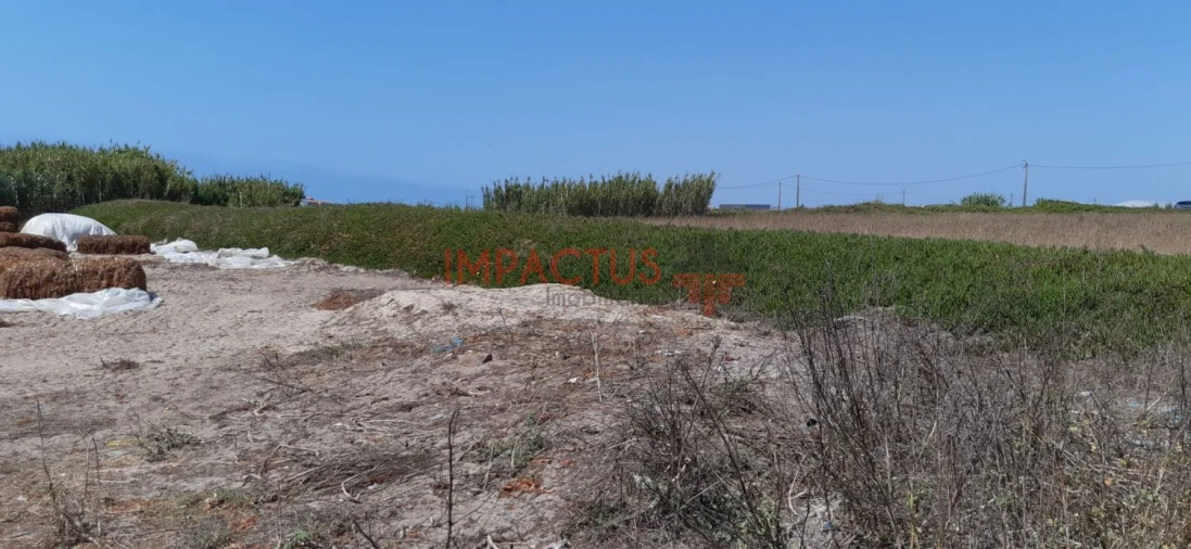Terreno para Venda em Aver-O-Mar, Amorim e Terroso Foto 16