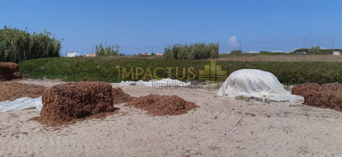Terreno para Venda em Aver-O-Mar, Amorim e Terroso Foto 8