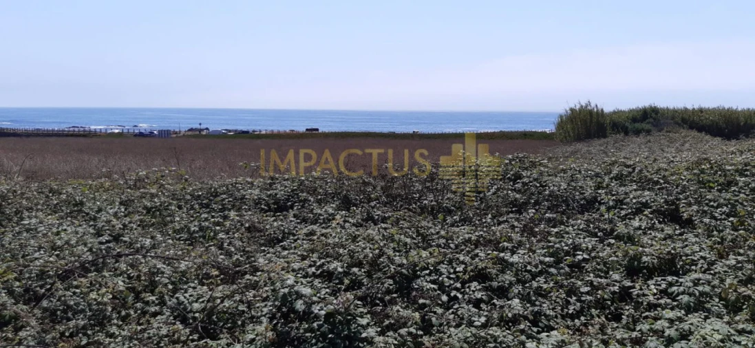Terreno para Venda em Aver-O-Mar, Amorim e Terroso Foto 22