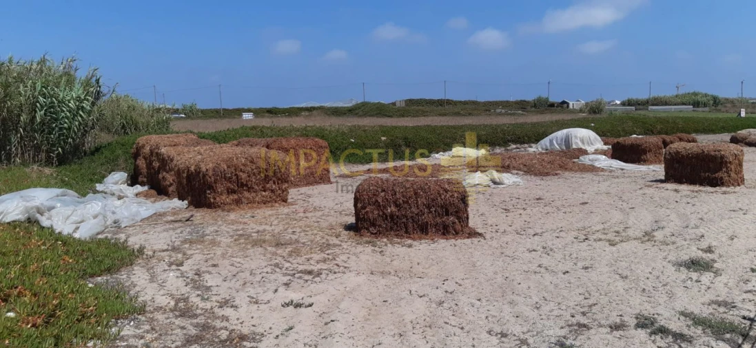 Terreno para Venda em Aver-O-Mar, Amorim e Terroso Foto 14