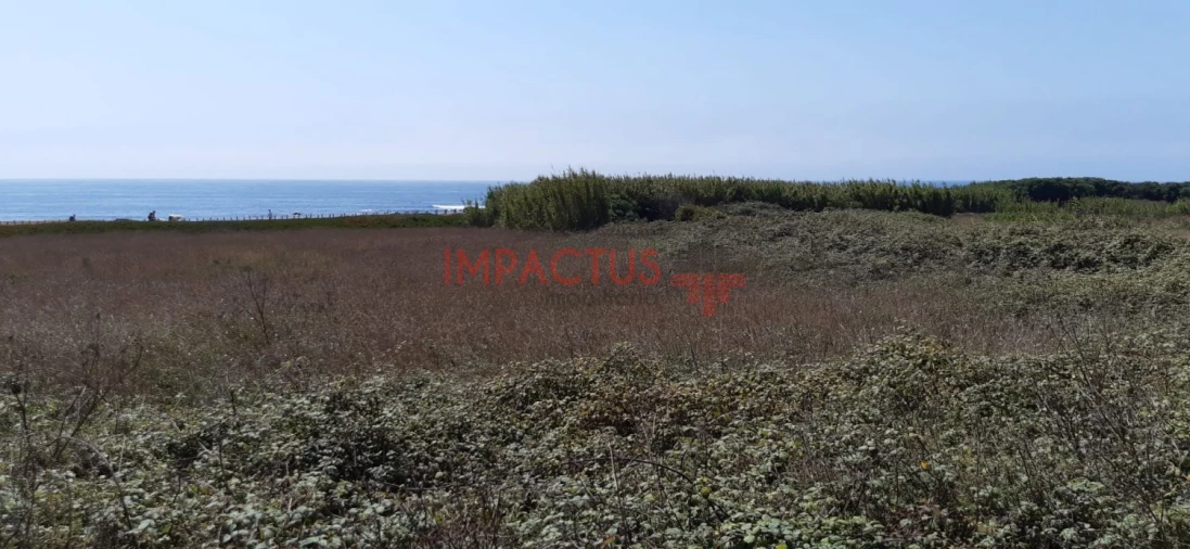 Terreno para Venda em Aver-O-Mar, Amorim e Terroso Foto 3