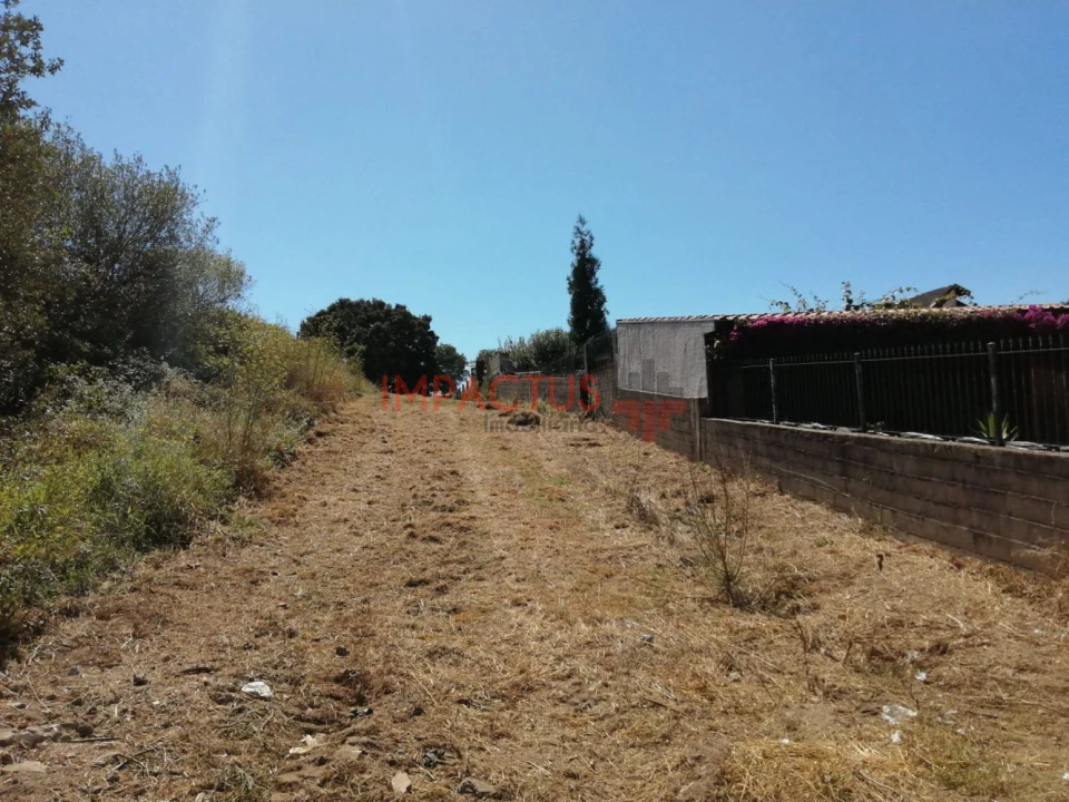 Terreno para Venda em Coronado (São Romão e São Mamede) Foto 6