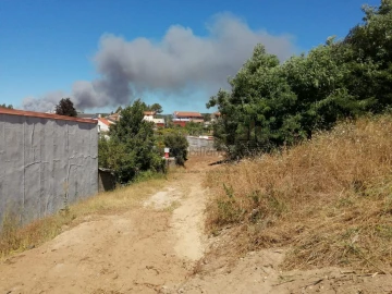 Terreno para Venda em Coronado (São Romão e São Mamede)