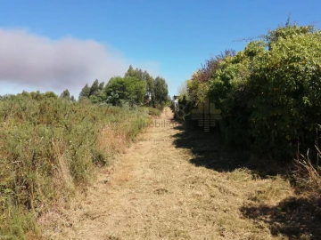 Terreno para Venda em Coronado (São Romão e São Mamede)