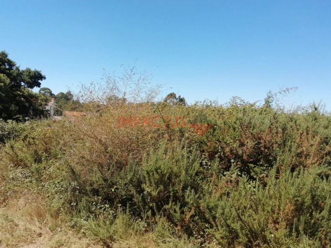 Terreno para Venda em Coronado (São Romão e São Mamede) Foto 8