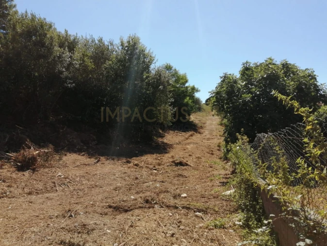 Terreno para Venda em Coronado (São Romão e São Mamede) Foto 3