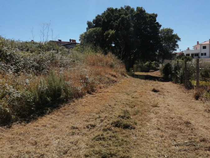 Terreno para Venda em Coronado (São Romão e São Mamede) Foto 2