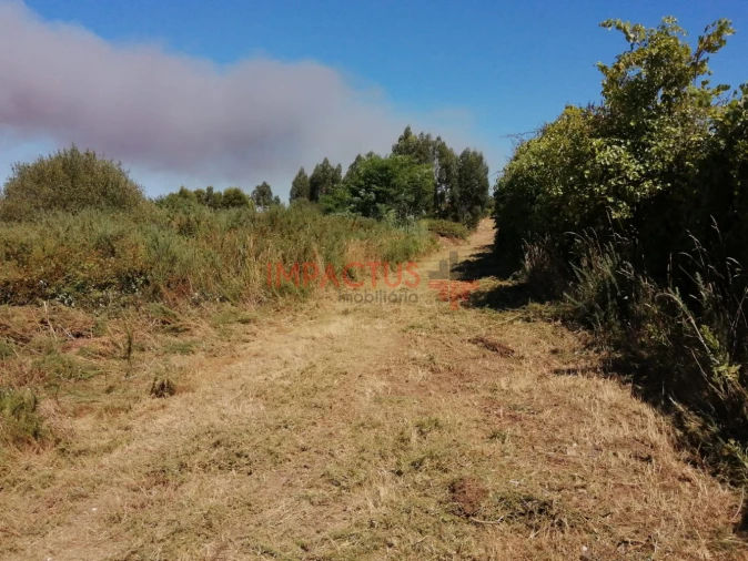 Terreno para Venda em Coronado (São Romão e São Mamede) Foto 14