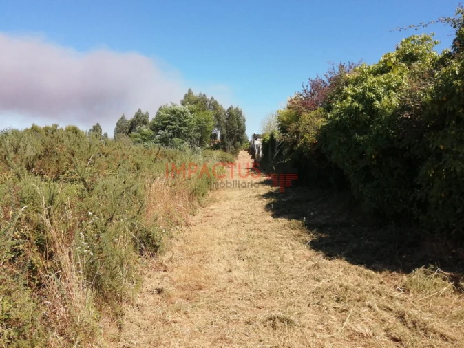Terreno para Venda em Coronado (São Romão e São Mamede) Foto 11