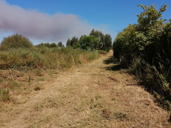 Terreno para Venda em Coronado (São Romão e São Mamede) Foto 14