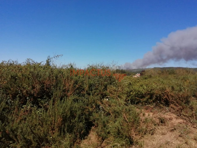 Terreno para Venda em Coronado (São Romão e São Mamede) Foto 12