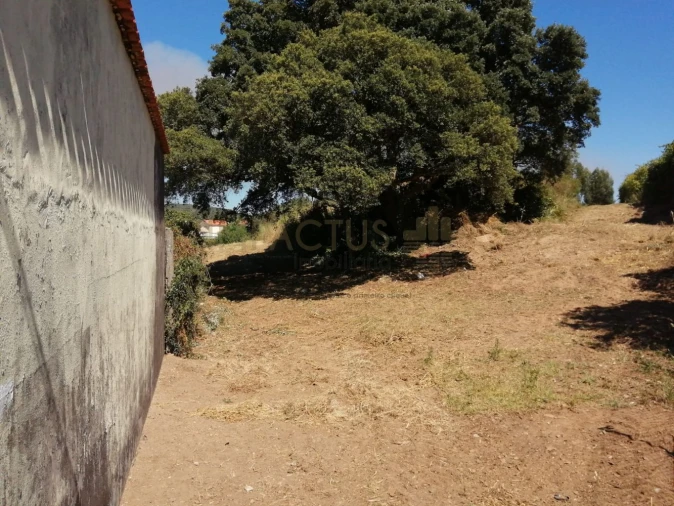 Terreno para Venda em Coronado (São Romão e São Mamede) Foto 9