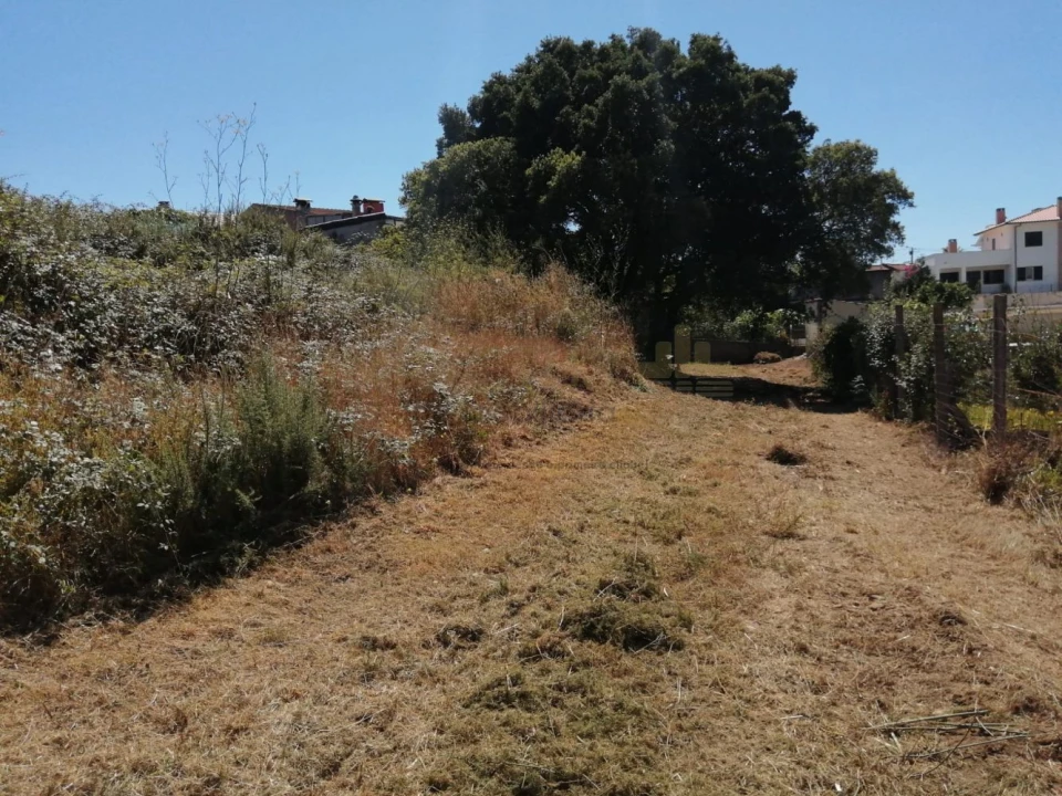 Terreno para Venda em Coronado (São Romão e São Mamede) Foto 2