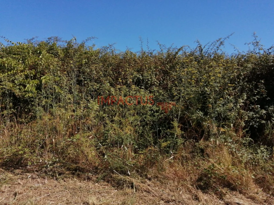 Terreno para Venda em Coronado (São Romão e São Mamede) Foto 4