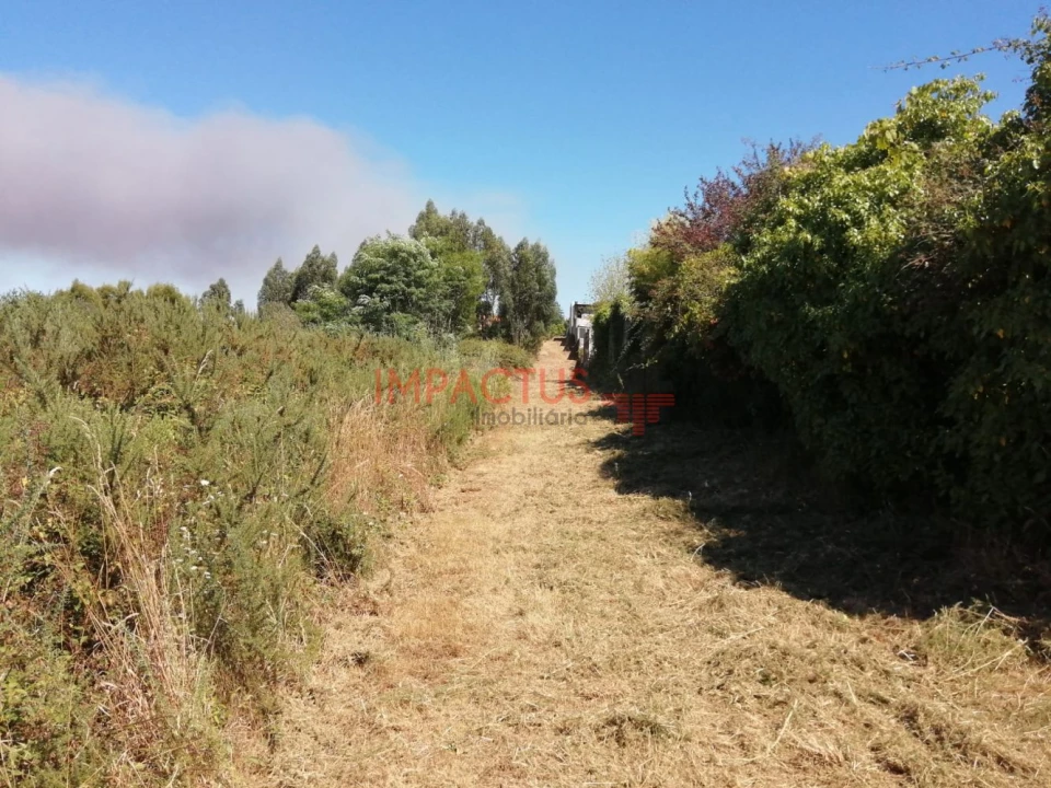 Terreno para Venda em Coronado (São Romão e São Mamede) Foto 11
