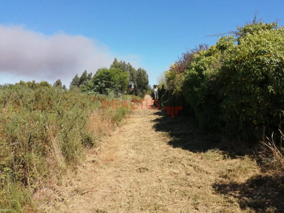 Terreno para Venda em Coronado (São Romão e São Mamede) Foto 15