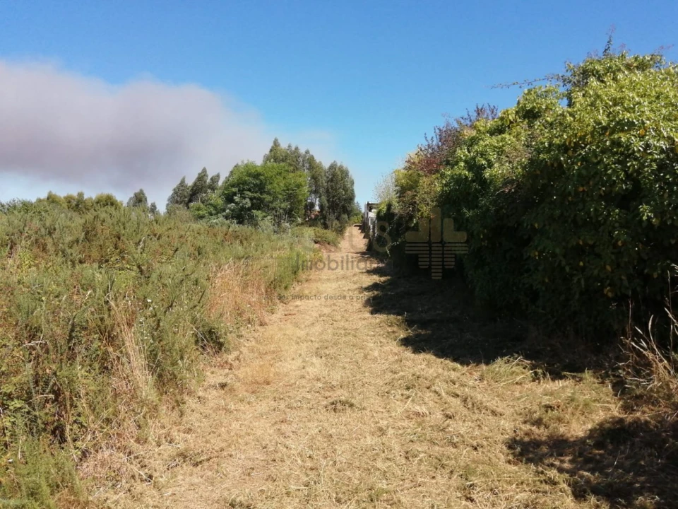 Terreno para Venda em Coronado (São Romão e São Mamede) Foto 15