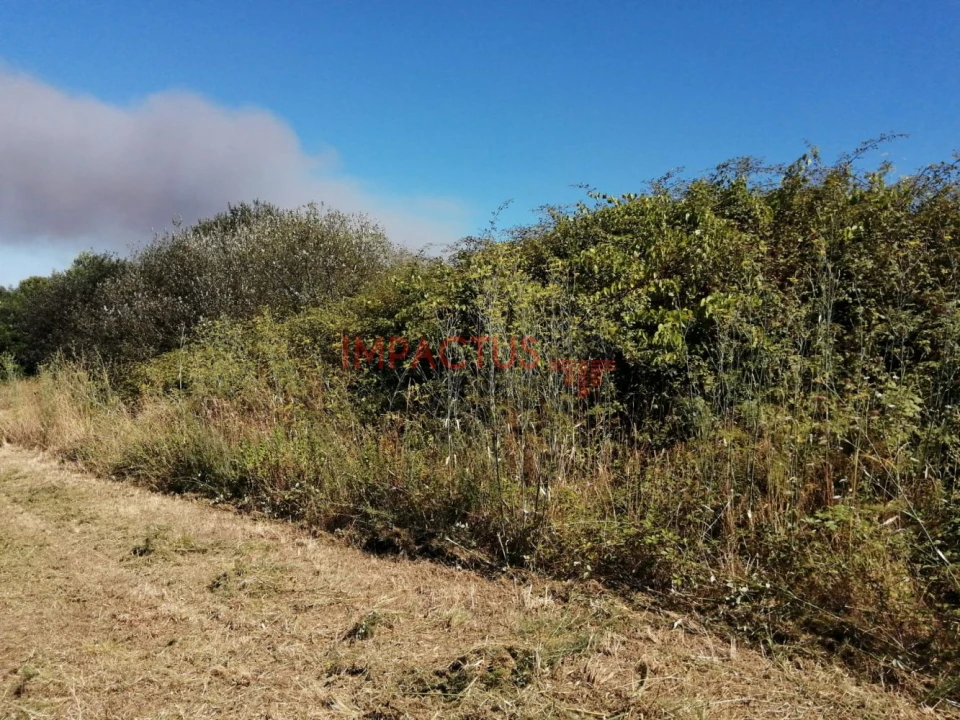 Terreno para Venda em Coronado (São Romão e São Mamede) Foto 10