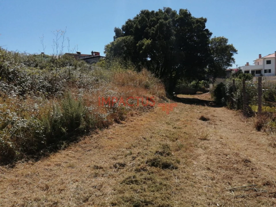 Terreno para Venda em Coronado (São Romão e São Mamede) Foto 2