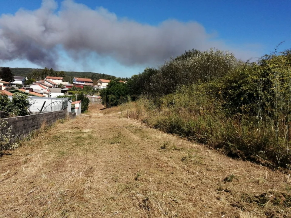 Terreno para Venda em Coronado (São Romão e São Mamede) Foto 17