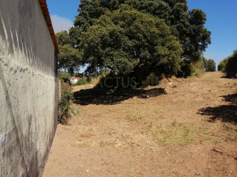 Terreno para Venda em Coronado (São Romão e São Mamede) Foto 9