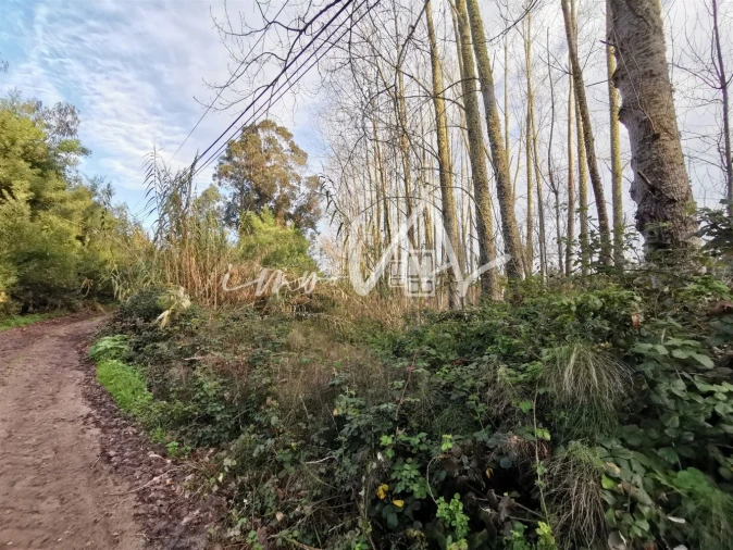 Terreno para Venda em Quiaios Foto 10