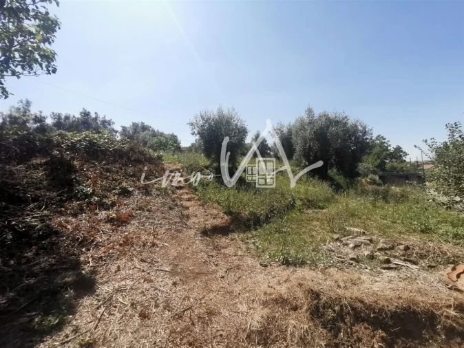 Terreno para Venda em Souselas e Botão