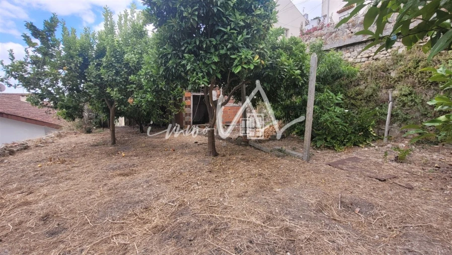 Terreno para Venda em Montemor-O-Velho e Gatões Foto 6