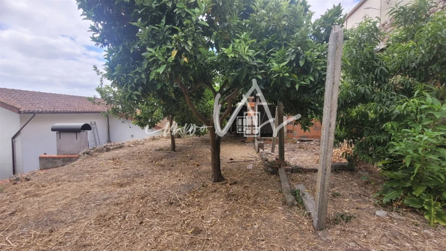 Terreno para Venda em Montemor-O-Velho e Gatões Foto 2