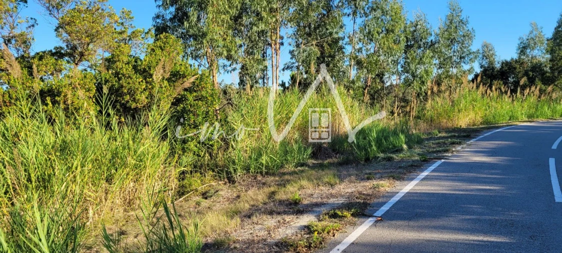 Terreno para Venda em Tavarede Foto 2