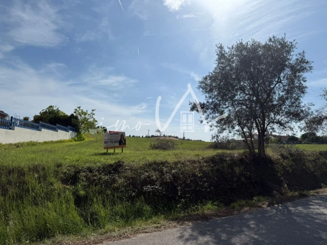 Terreno para Venda em Louriçal Foto 8