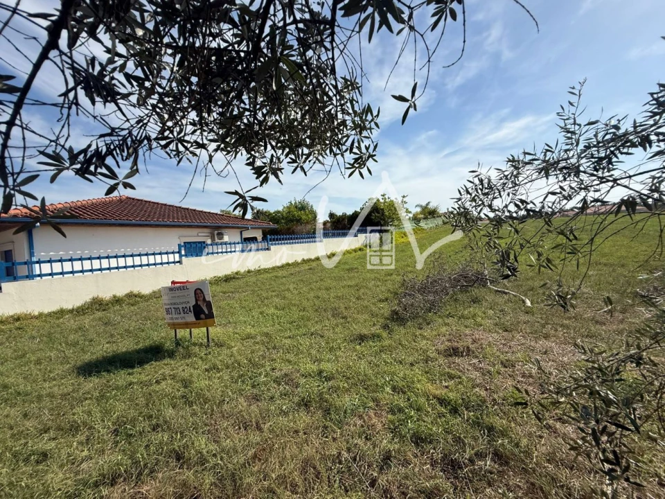 Terreno para Venda em Louriçal Foto 6
