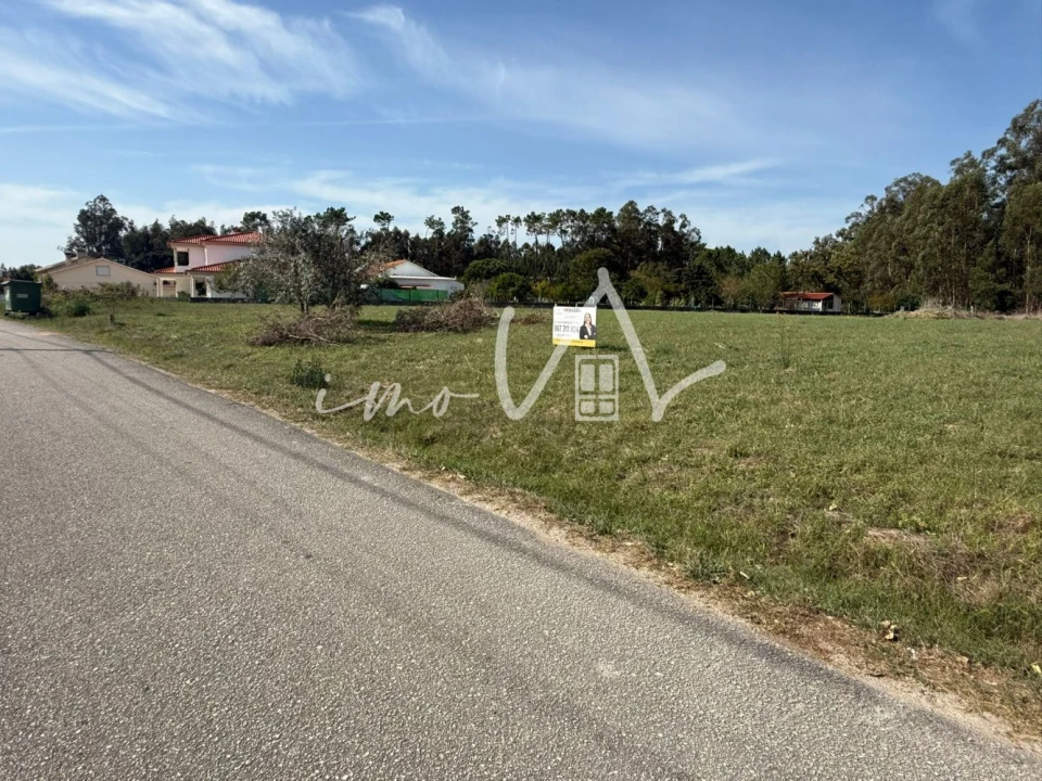 Terreno para Venda em Louriçal Foto 5