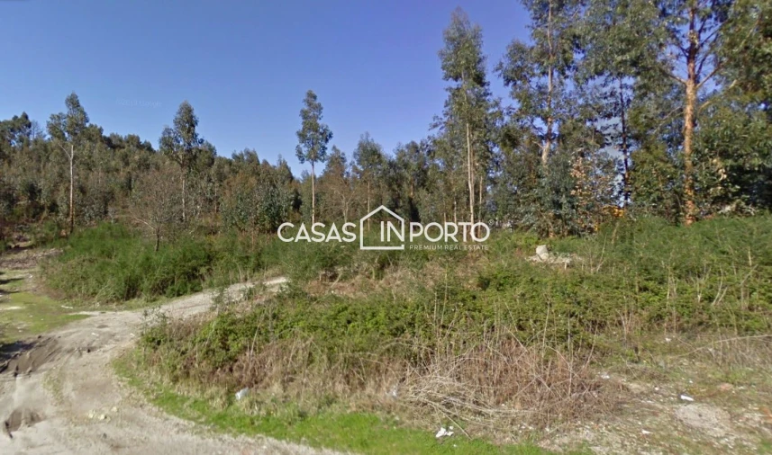 Terreno para Venda em Nespereira e Casais Foto 3