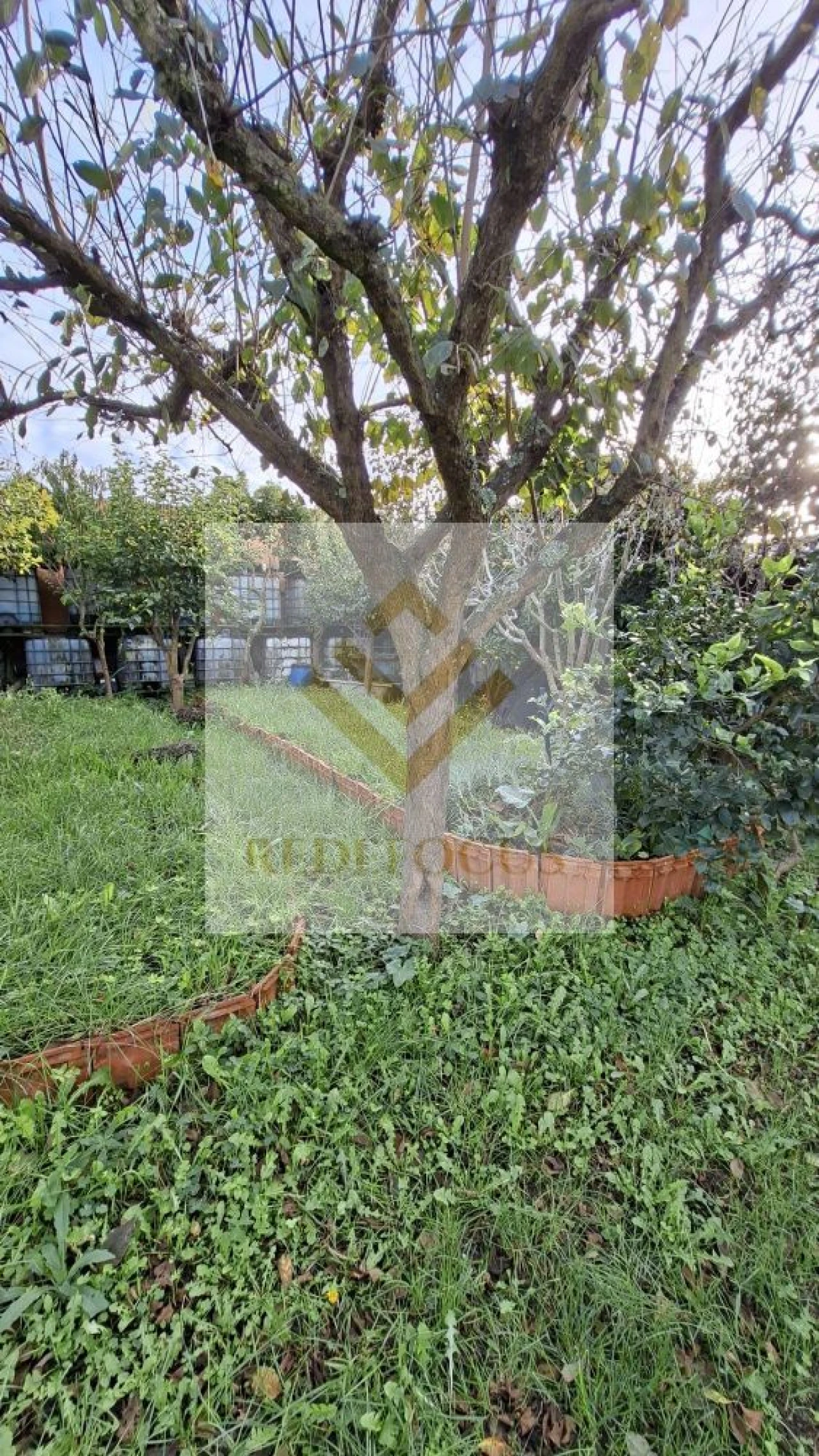 Terreno para Venda em Silvalde Foto 8