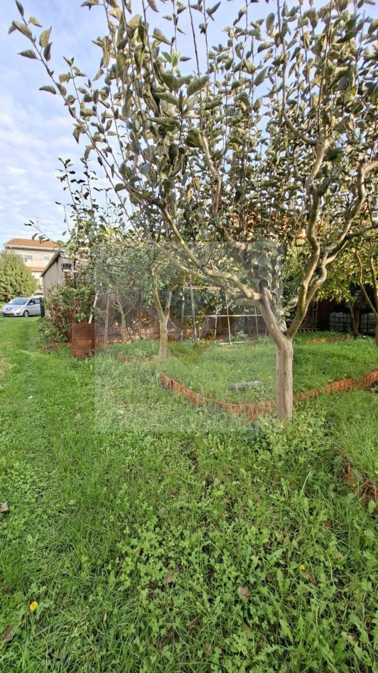 Terreno para Venda em Silvalde Foto 5