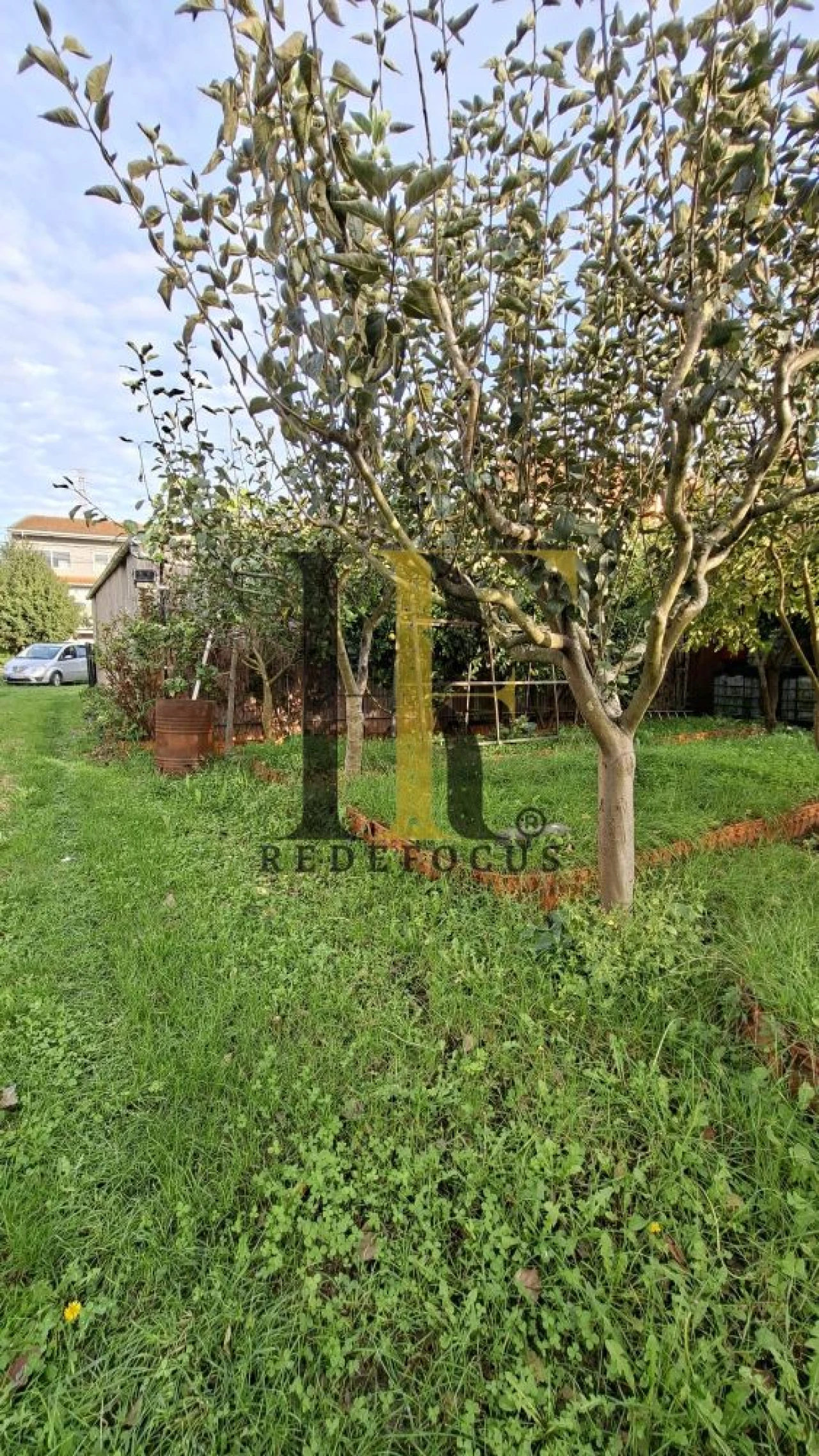 Terreno para Venda em Silvalde Foto 5