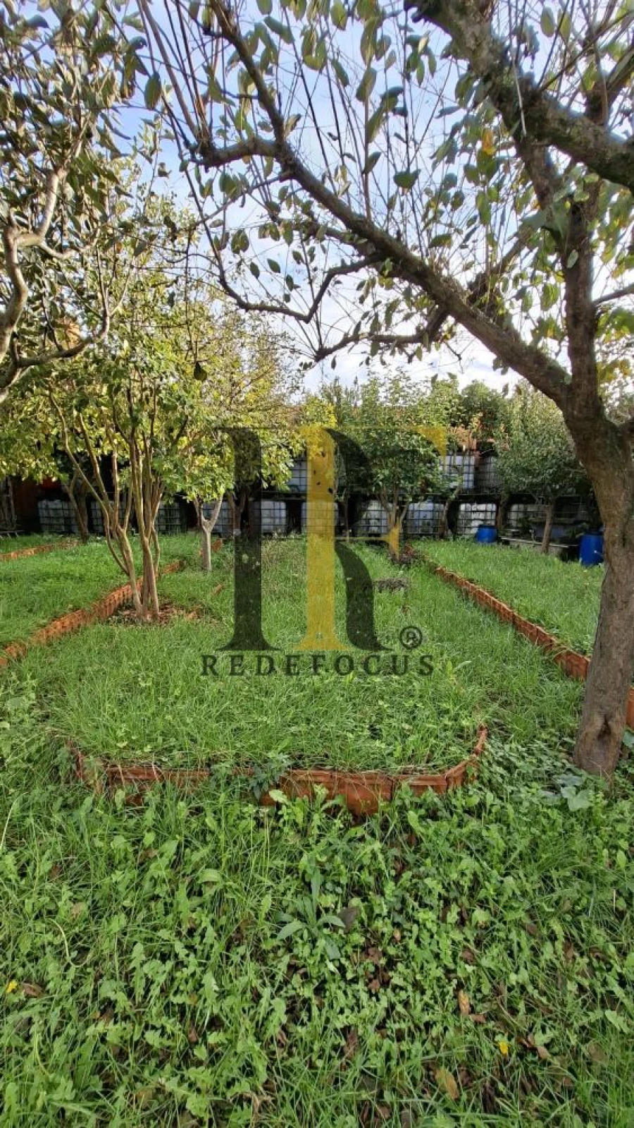 Terreno para Venda em Silvalde Foto 7