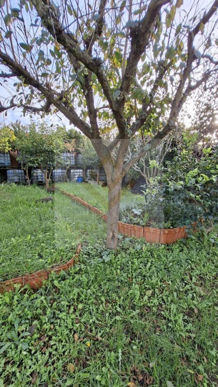 Terreno para Venda em Silvalde Foto 8