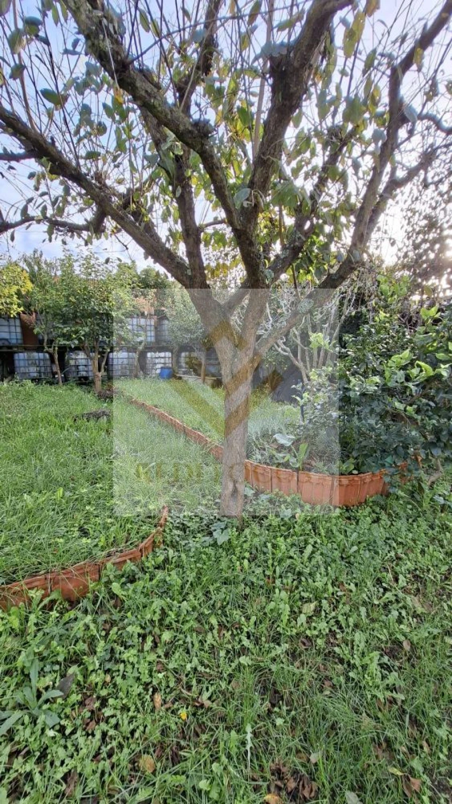 Terreno para Venda em Silvalde Foto 8