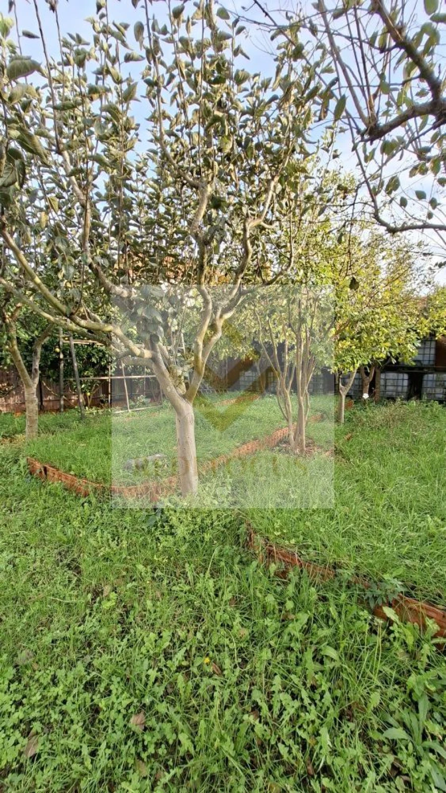 Terreno para Venda em Silvalde Foto 6