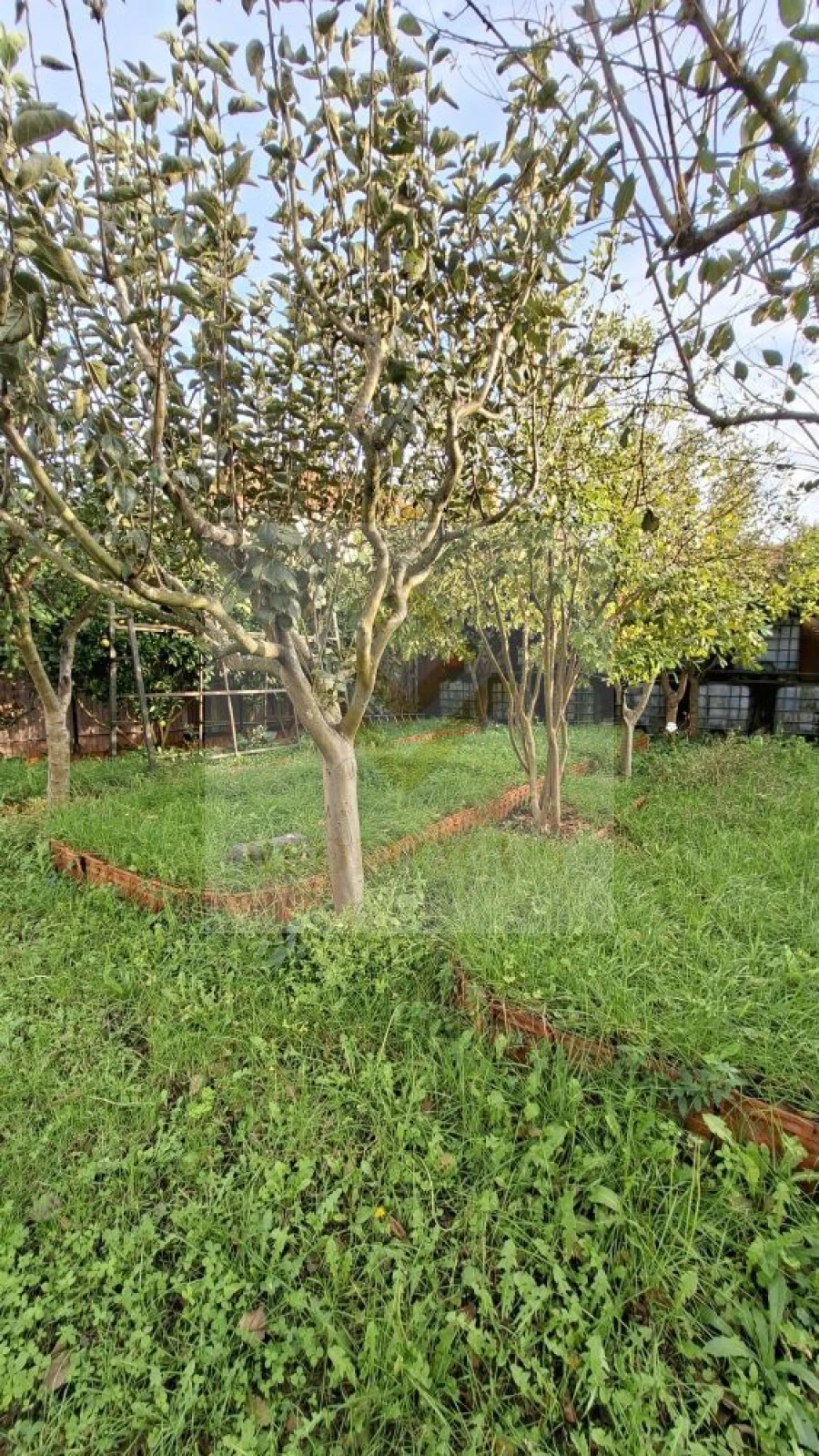 Terreno para Venda em Silvalde Foto 6