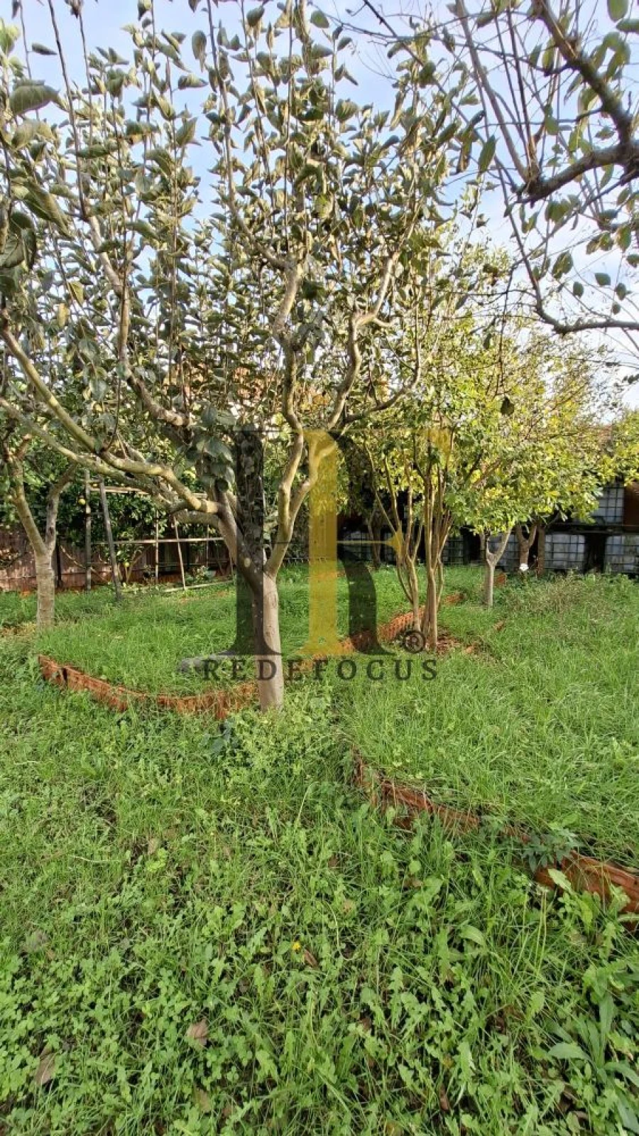 Terreno para Venda em Silvalde Foto 6