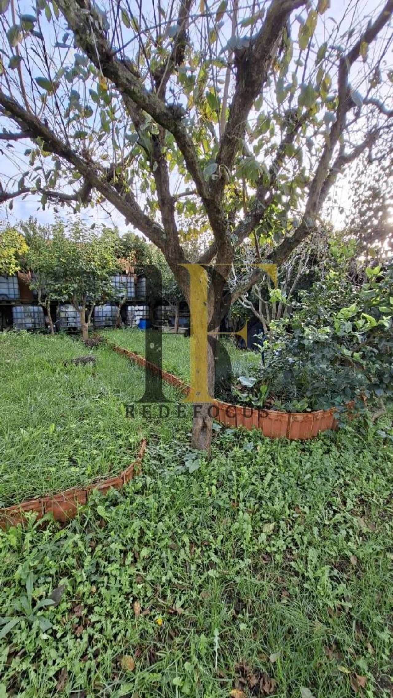 Terreno para Venda em Silvalde Foto 8