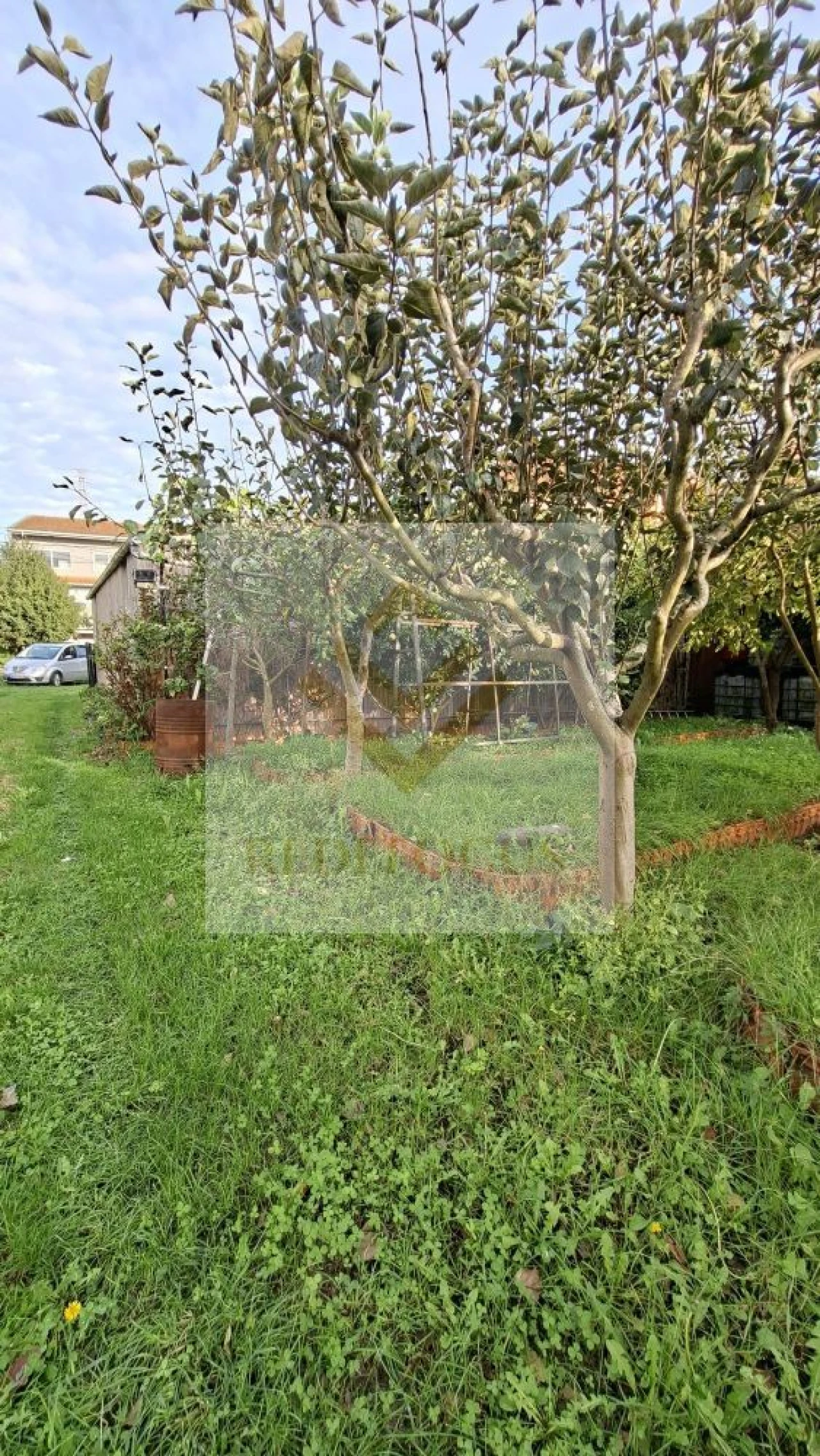 Terreno para Venda em Silvalde Foto 5