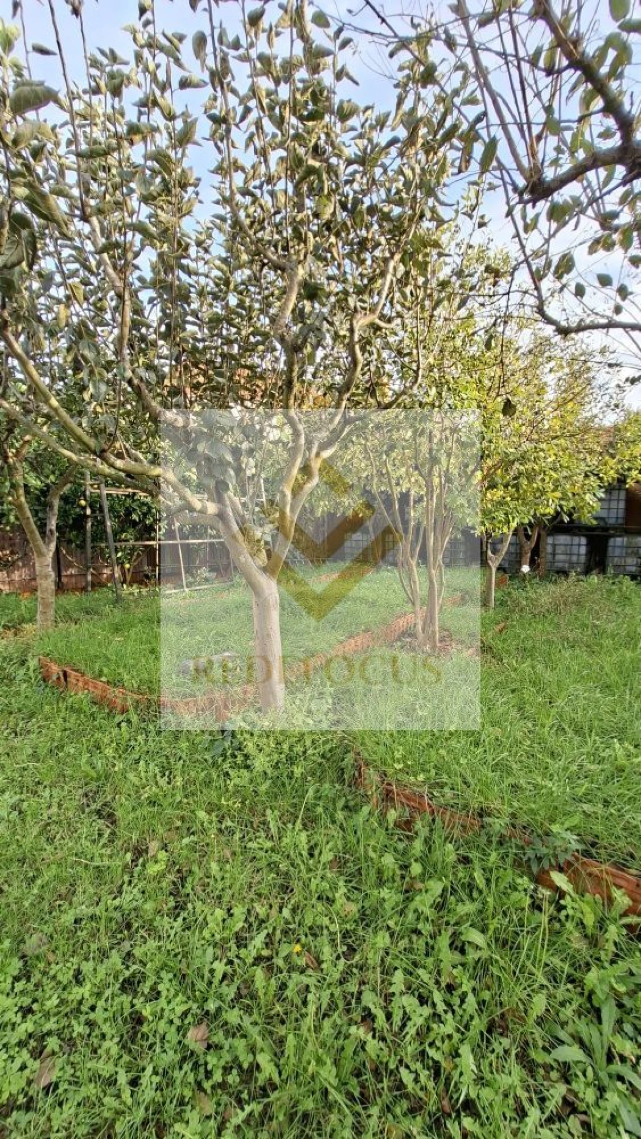 Terreno para Venda em Silvalde Foto 6