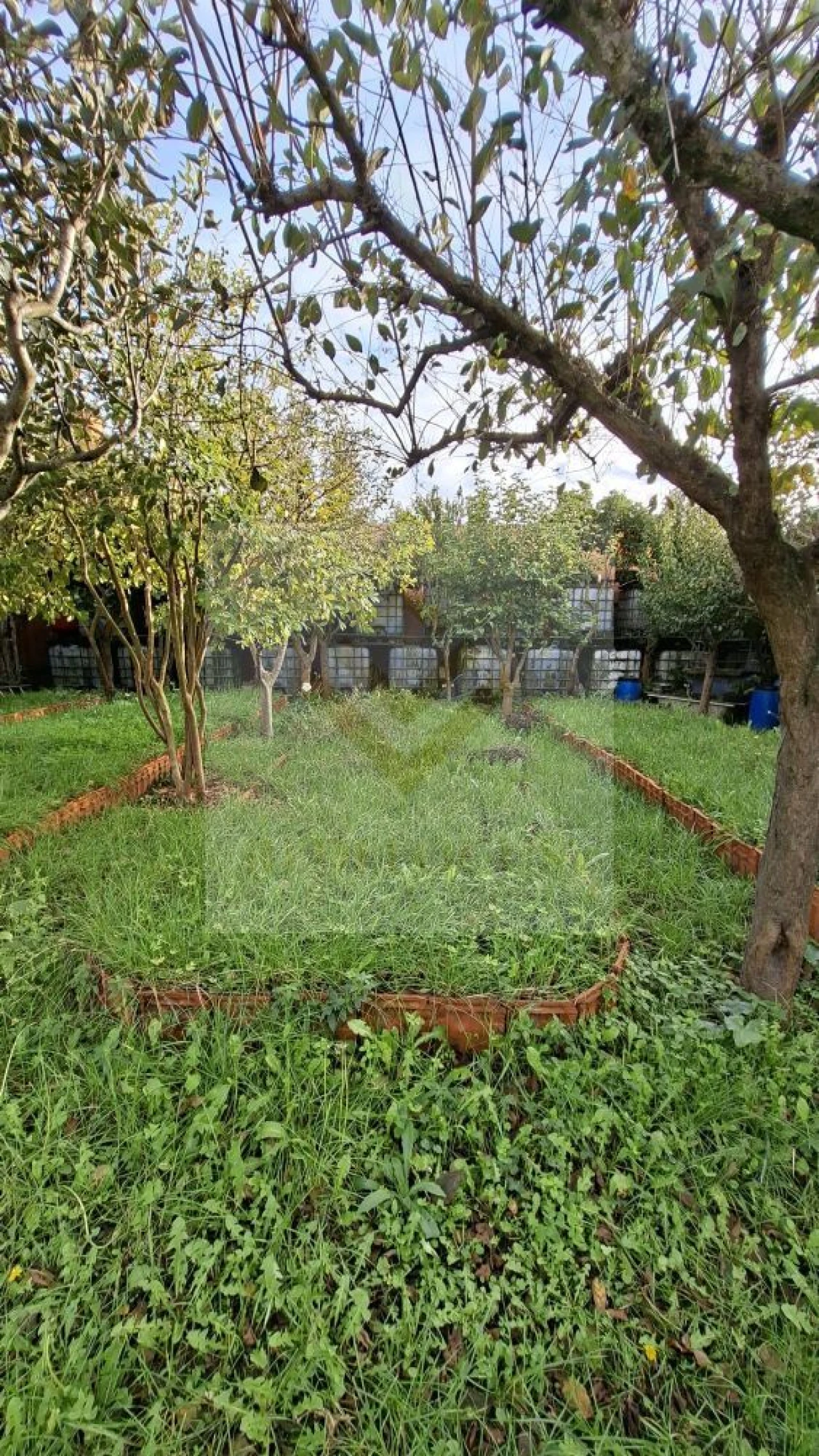 Terreno para Venda em Silvalde Foto 7