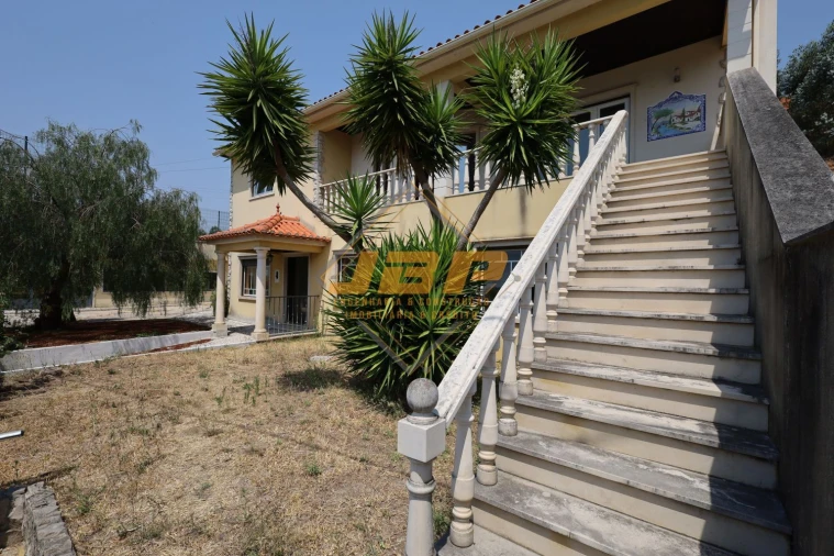 Moradia T2 para Venda em Pelariga Foto 5